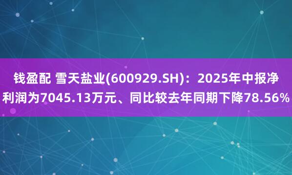 钱盈配 雪天盐业(600929.SH)：2025年中报净利润为7045.13万元、同比较去年同期下降78.56%
